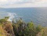 Point UDALL